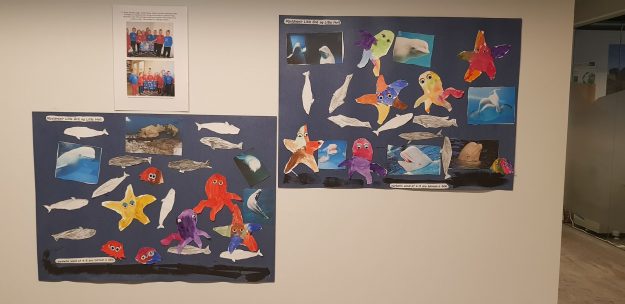 52487874_148638622744363_5641442910550360064_n