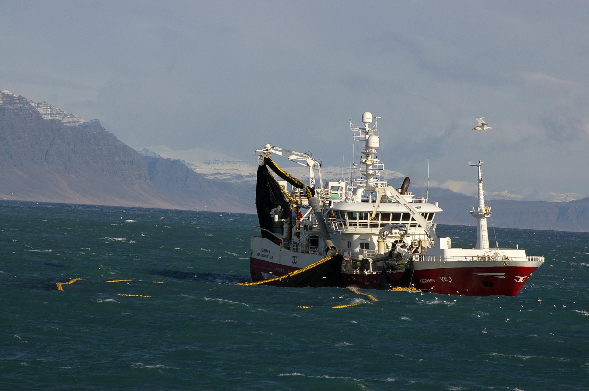 heimaey_ve_a_veidum_mynd_isleif_fb