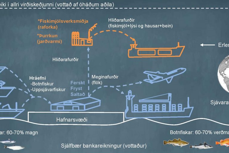 Virðiskeðja í íslenskum sjávarútvegi