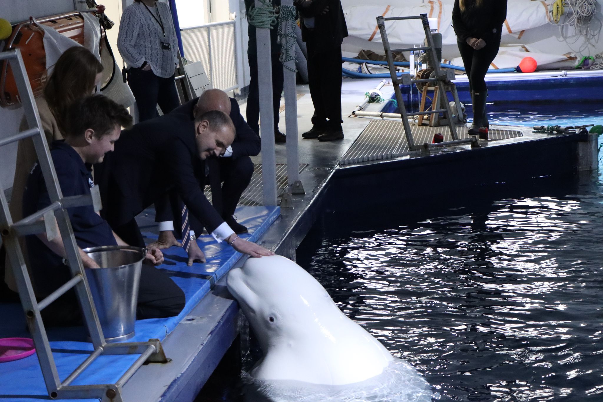 327113111_899979398093396_8260042372956631511_n